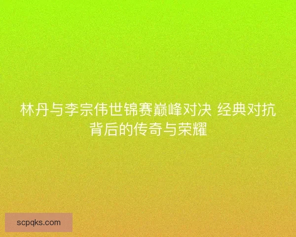 林丹与李宗伟世锦赛巅峰对决 经典对抗背后的传奇与荣耀