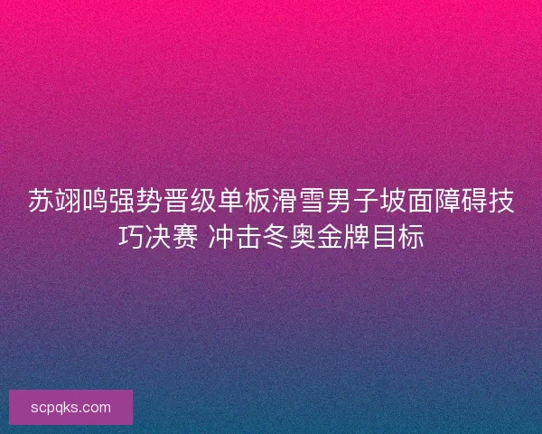 苏翊鸣强势晋级单板滑雪男子坡面障碍技巧决赛 冲击冬奥金牌目标